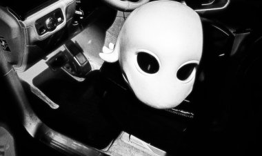 OBOY, 1PLIKÉ140 - Maybach