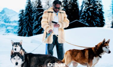 Didi B - Holiday Season