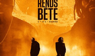 GIMS feat. Damso - Tu me rends bête
