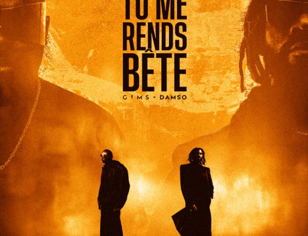 GIMS feat. Damso - Tu me rends bête