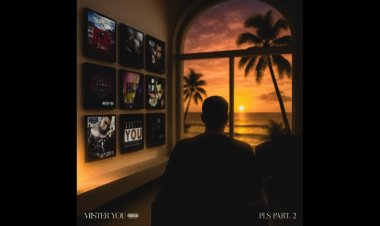 Mister You - PLS Part. 2 (Album complet)